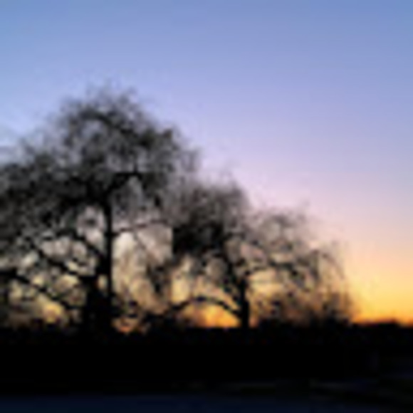 Meet your Posher, Leilani - Picture 1 of 1